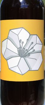 Apricot Weiss - Crane Brewing