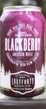 Blackberry American Wheat - Lost Forty Brewing