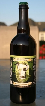 E.S. Bam - Jolly Pumpkin Artisan Ales