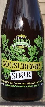 Gooseberry Sour - Mammoth Brewing Company