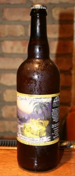 Oro de Calabaza - Jolly Pumpkin Artisan Ales