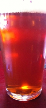 Simcoe Extra Pale Ale - Freedom's Edge Brewing Company