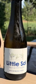 Little Sal - Allagash Brewing Company