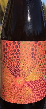 Sofie Paradisi - Goose Island Beer Co.