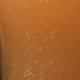 Review image for scot