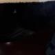 Review image for scot