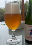 Review image for scot